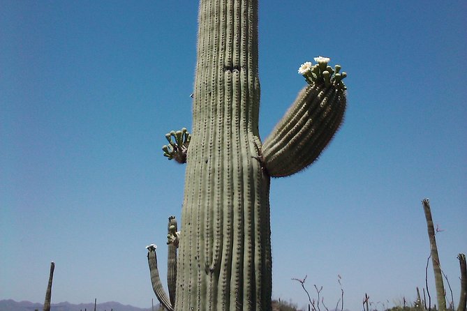 Apache Trail with Dolly Steamboat - Discovering the Superstition Mountain Museum