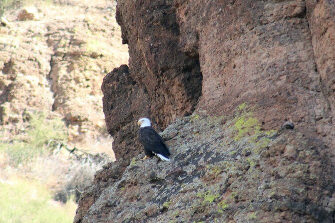 Apache Trail with Dolly Steamboat - Practical Details and Additional Inclusions