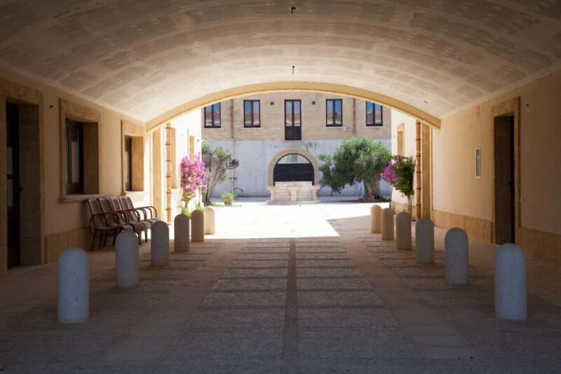 Aperitif in the Vineyard: organic wine tasting in Mazara del Vallo - Who Will Appreciate This Tour Most?