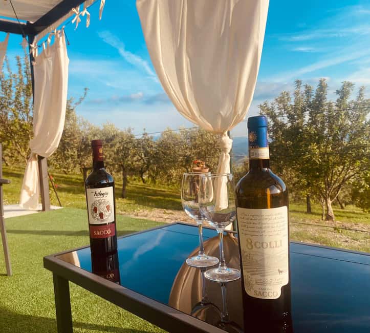 Aperitivo e degustazione di vini in vigna alla Cantina Sacco - Discover the Charm of Cantina Sacco’s Vineyards and Olive Groves