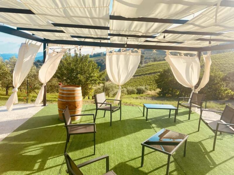 Aperitivo e degustazione di vini in vigna alla Cantina Sacco - Practical Details: What’s Included and What to Expect