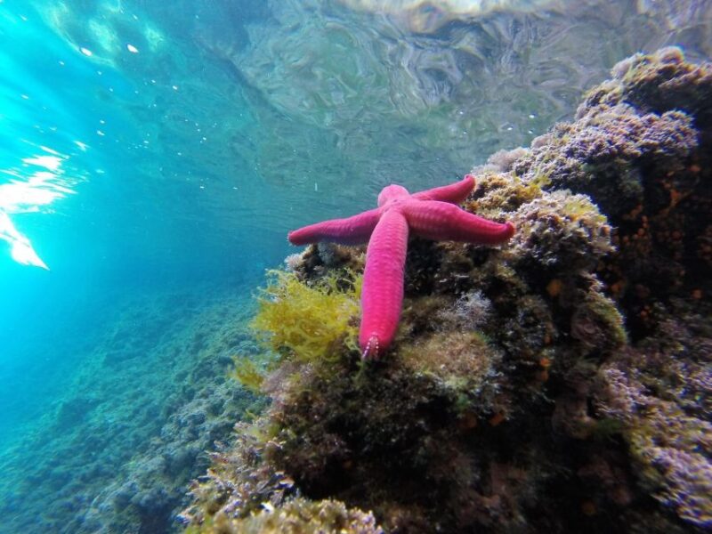 Aperitivo on the boat during sunset time in Palinuro - Visiting the Blue Cave in Palinuro