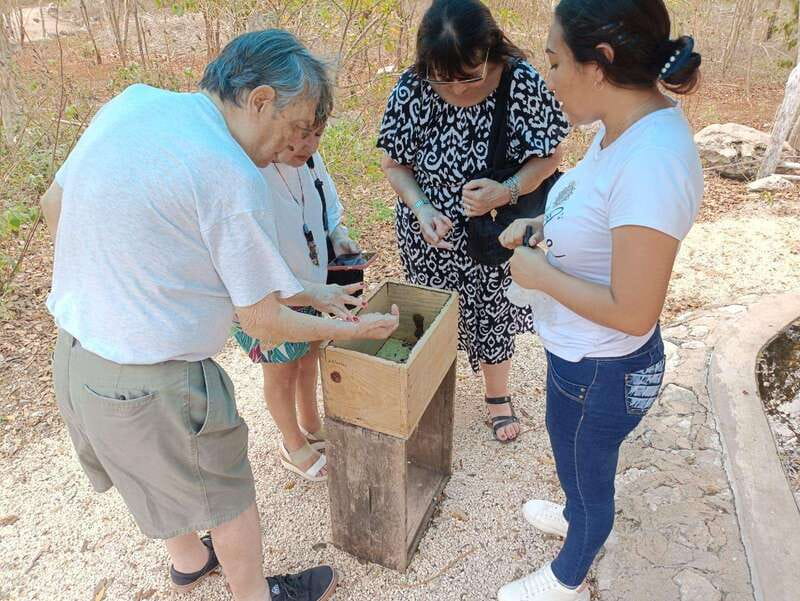 Apiary Tour (Bee tour) also Archeological site and salt Pond - Exploring the Apiaries: European and Melipona Bees