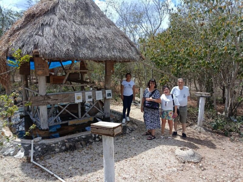 Apiary Tour (Bee tour) also Archeological site and salt Pond - Visiting the Maya Archaeological Site