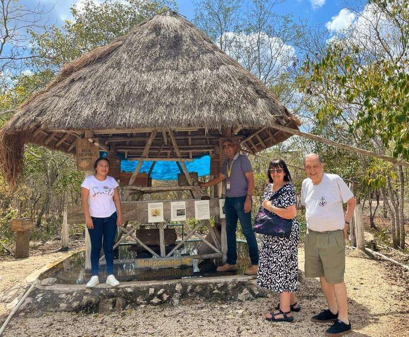 Apiary Tour (Bee tour) also Archeological site and salt Pond - The Experience Provider: Yucatán Awesome Tours