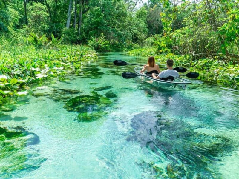 Apopka: Rock Springs Clear Kayak Tour - Starting Point: Kings Landing in Apopka