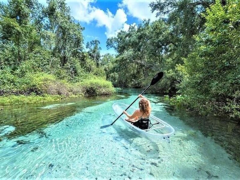 Apopka: Rock Springs Clear Kayak Tour - Wildlife Watching and Photography Opportunities