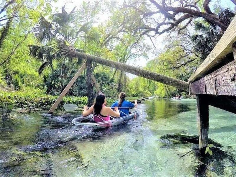 Apopka: Rock Springs Clear Kayak Tour - Physical Requirements and Accessibility