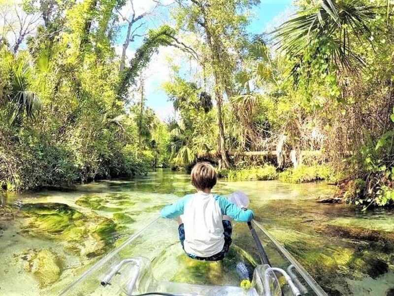 Apopka: Rock Springs Clear Kayak Tour - Booking Flexibility and Cancellation Policy