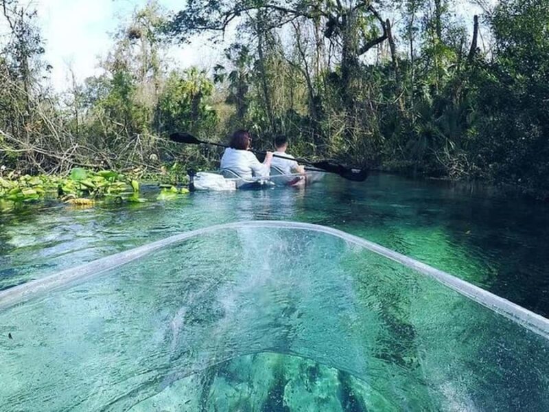 Apopka: Rock Springs Clear Kayak Tour - Comparing Similar Experiences in Apopka