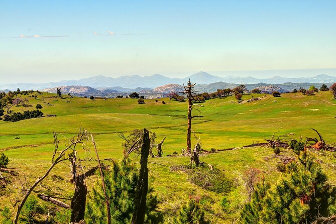 Apple Pies & Desert Skies: A Self-Guided Driving Tour - Discovering Borrego Springs and Its Metal Sculptures