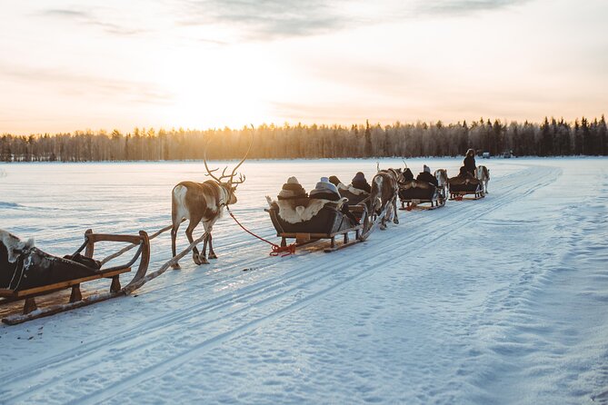 Apukka Reindeer Journey - Meeting Point and Transportation in Rovaniemi