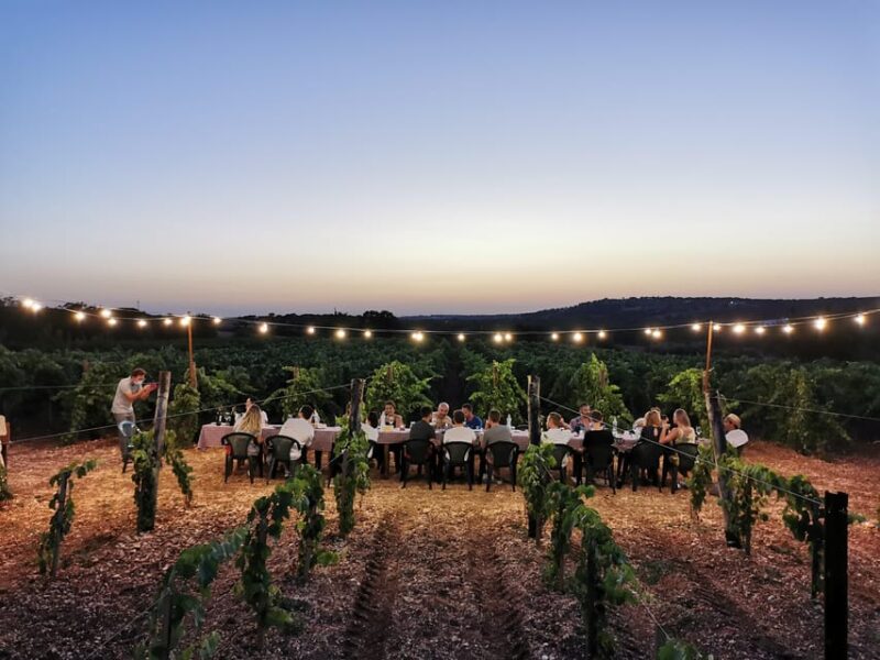 Apulia: Guided Wine Tasting with Local Appetizers - Discover Apulian Wine and Culinary Traditions at a Local Farm