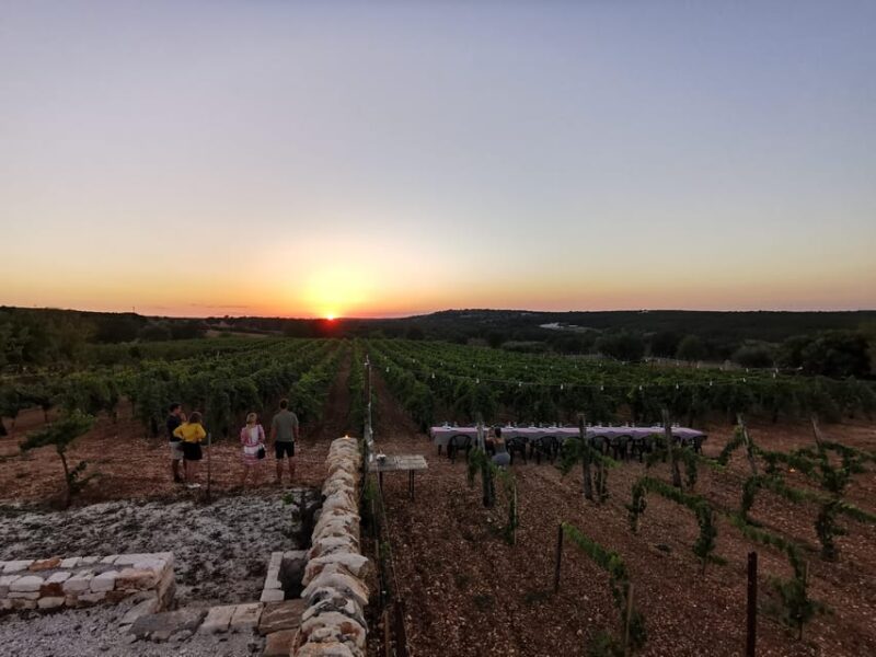 Apulia: Guided Wine Tasting with Local Appetizers - The Four Wines of Apulia: A Tasting of Indigenous Varieties