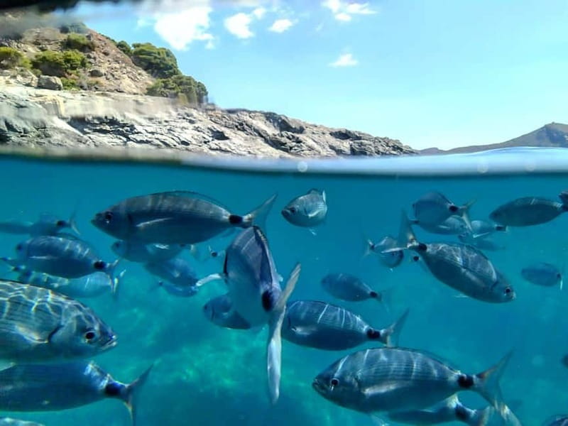 AQUA SPLASH ADVENTURE: Super Slide & Swimming - Frequently Asked Questions