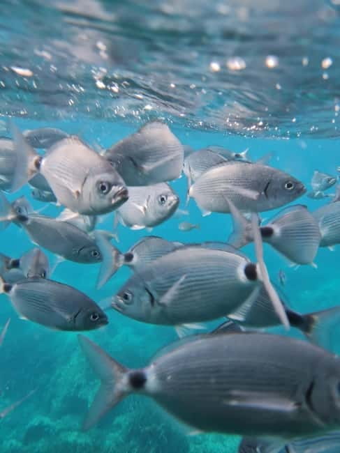 AQUA SPLASH SUNSET : Mega Slide & Cocktail & Swimming - Sunset Views and Cocktails: A Perfect End