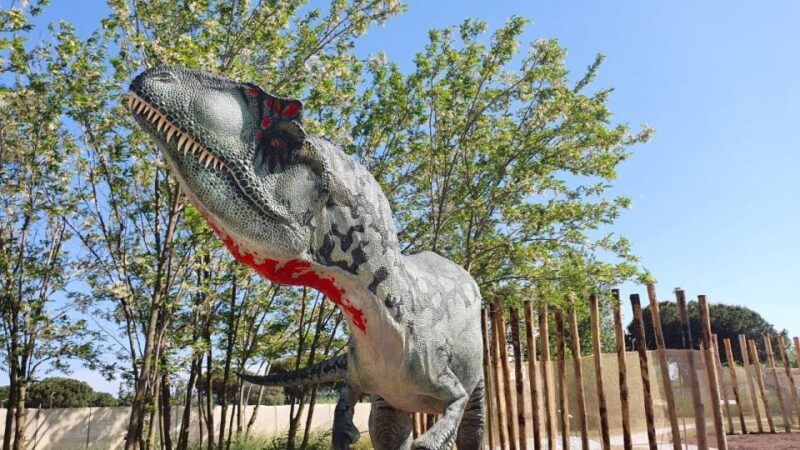 Aquarium of Cattolica Entry Ticket - Interactive and Educational Exhibits