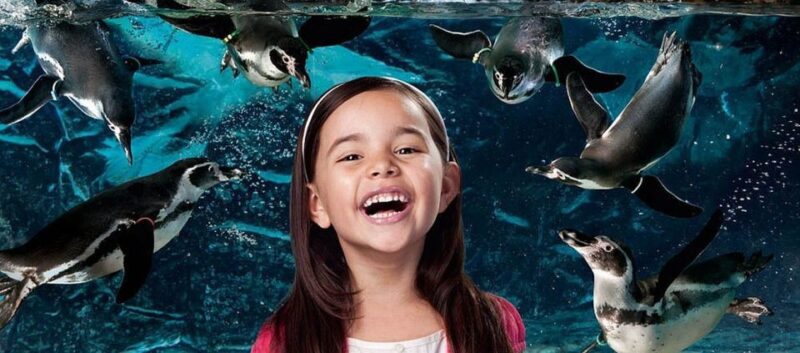 Aquarium of Cattolica Entry Ticket - The Value of the Aquarium Tour