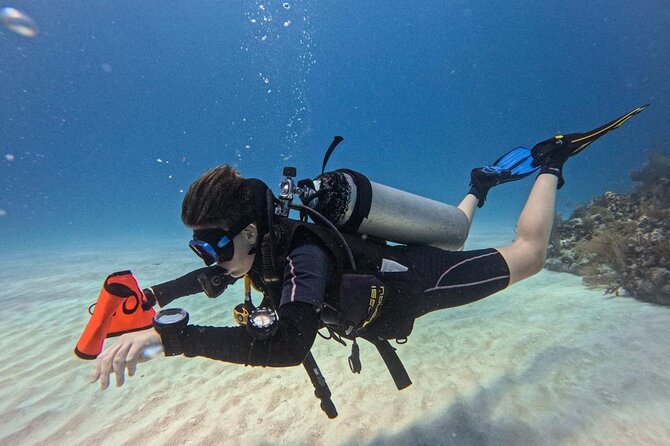 Aquatic Wonderland: Discover Meso's Magic" - The Guide and Instructors: Personal, Professional, and Patient