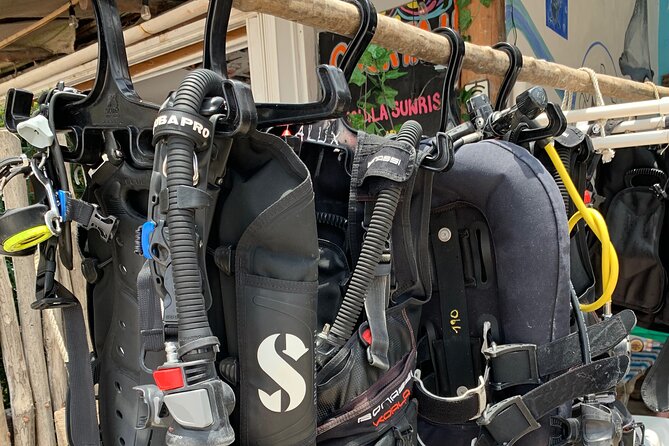 Aquatic Wonderland: Discover Meso's Magic" - Why This Private Diving Tour Stands Out