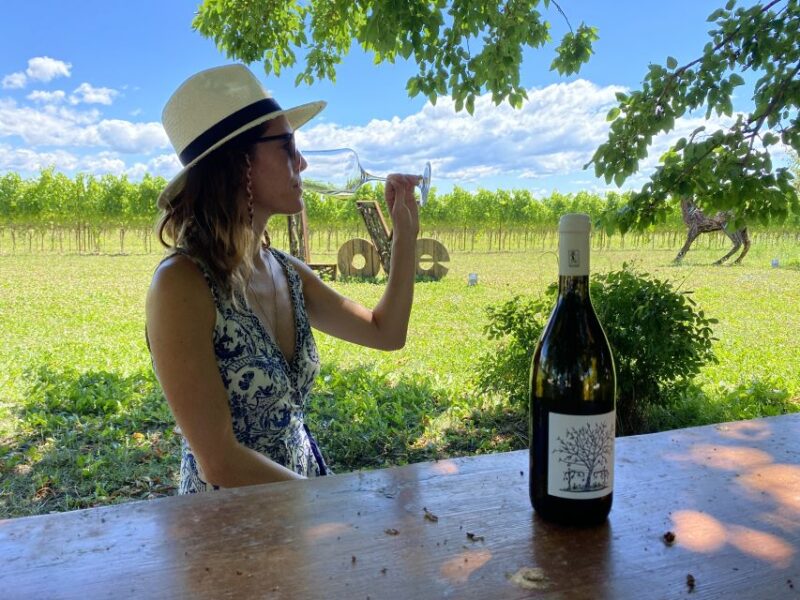 Aquileia: Winery Tour and Tasting - Discover the Charm of Aquileia’s Family-Owned Winery