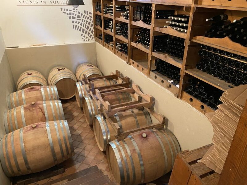 Aquileia: Winery Tour and Tasting - Tasting of Five Distinct Wines with Expert Guidance