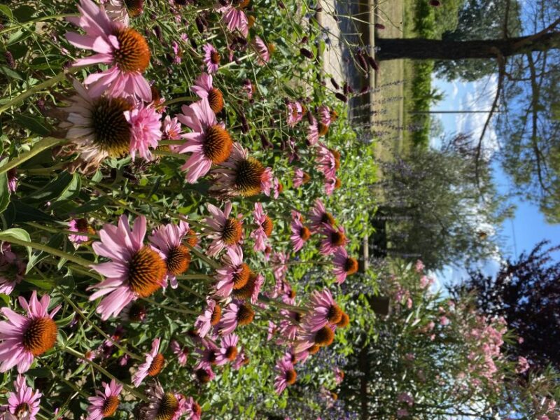 Aquileia: Winery Tour and Tasting - Final Thoughts on the Aquileia Winery Experience