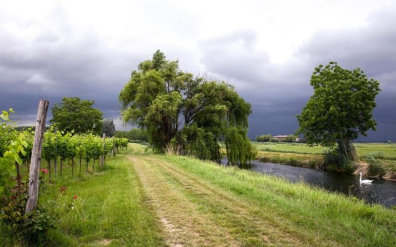 Aquileia: Winery Tour and Tasting - Frequently Asked Questions