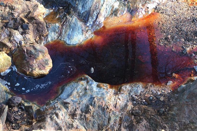 Aracena & Riotinto Mines Tour from Seville - The Natural Beauty of the Mediterranean Forest and Wildlife