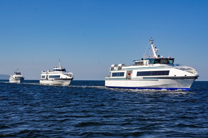 Aran Islands and Cliffs of Moher Day Cruise sailing from Galway City Docks - Cliffs of Moher from the Water: Formation and Wildlife