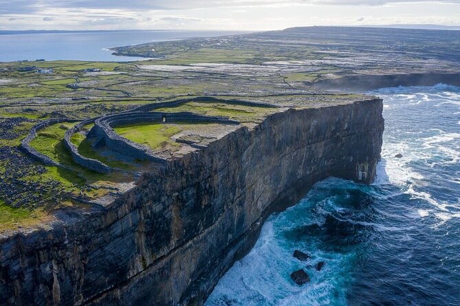 Aran Islands and Cliffs of Moher Day Cruise sailing from Galway City Docks - Wildlife and Birdwatching Opportunities