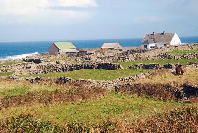Aran Islands Bike Tour with Tea and Scones from Galway - Explore the Aran Islands with a Hassle-Free Bike Tour from Galway