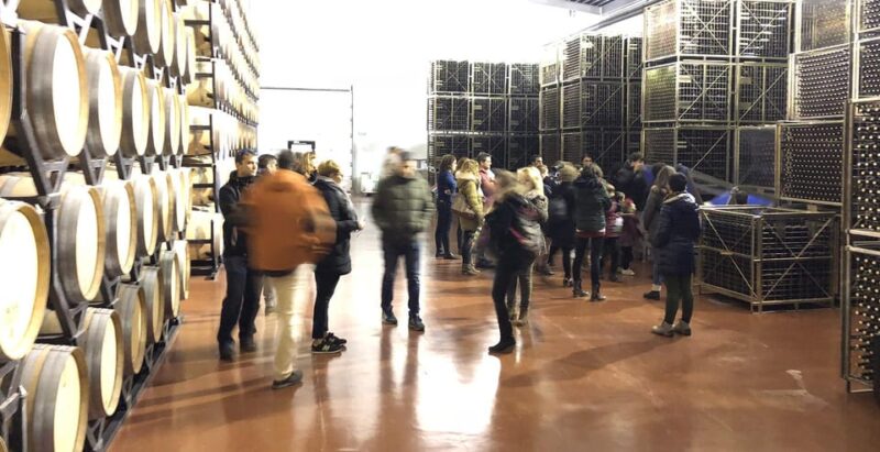 Aranda de Duero: Martín Berdugo Winery - Tour and Tasting - Key Points