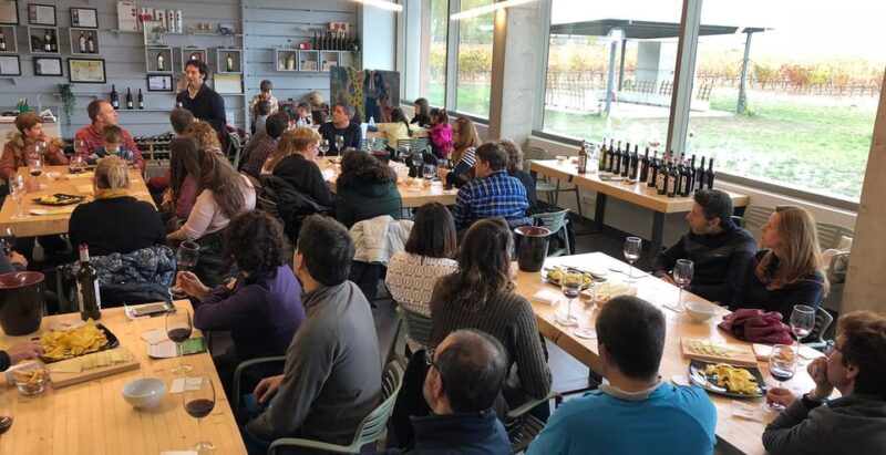 Aranda de Duero: Martín Berdugo Winery - Tour and Tasting - Accessibility and Practical Considerations
