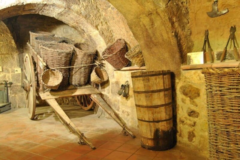 Aranda de Duero: Tour of Underground Cellar and Wine Museum - Key Points