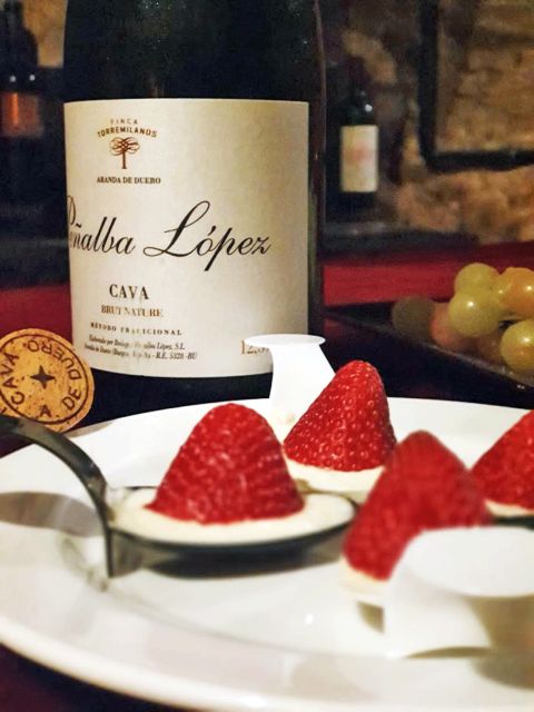 Aranda de Duero: Wine Pairing Tasting Course & Mini Tapas - Key Points