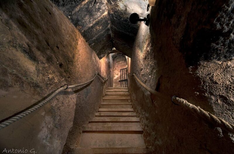 Aranda de Duero: Wine Tasting Course with Iberian Tasting - Tasting Course Featuring Five Ribera del Duero Wines