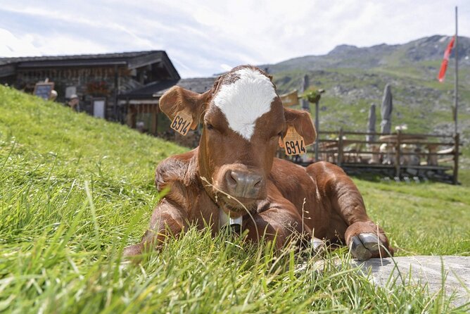 Aravis Massif and visit to Chamonix - Key Points