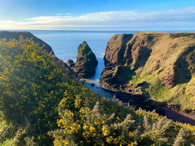 Arbroath: Seaton Cliffs Guided Walking Tour with Geologist - Key Points