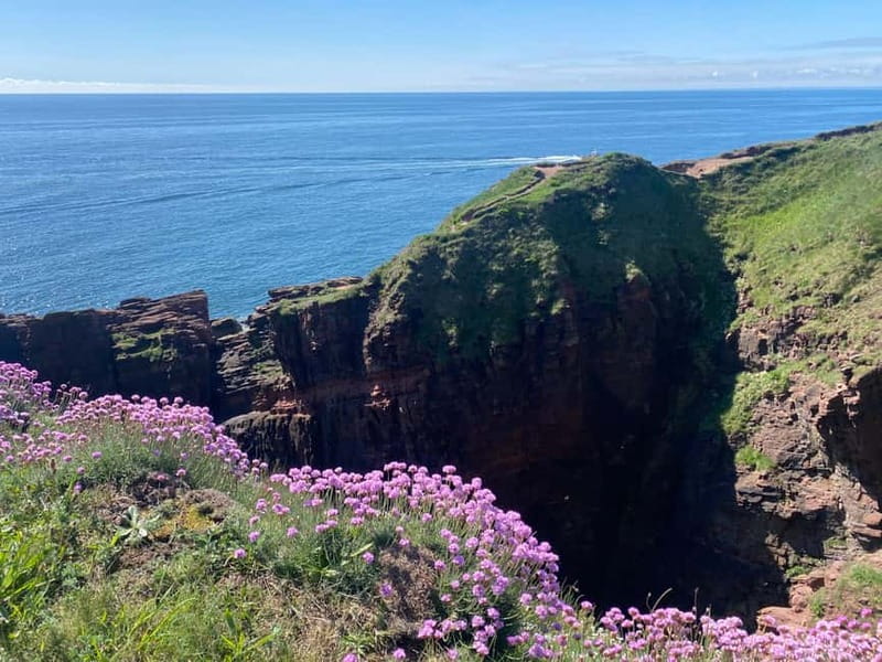 Arbroath: Seaton Cliffs Guided Walking Tour with Geologist - Practical Details: Group Size, Duration, and Accessibility