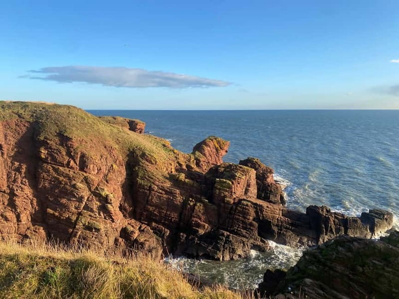 Arbroath: Seaton Cliffs Guided Walking Tour with Geologist - What Sets This Tour Apart from Other Coastal Walks