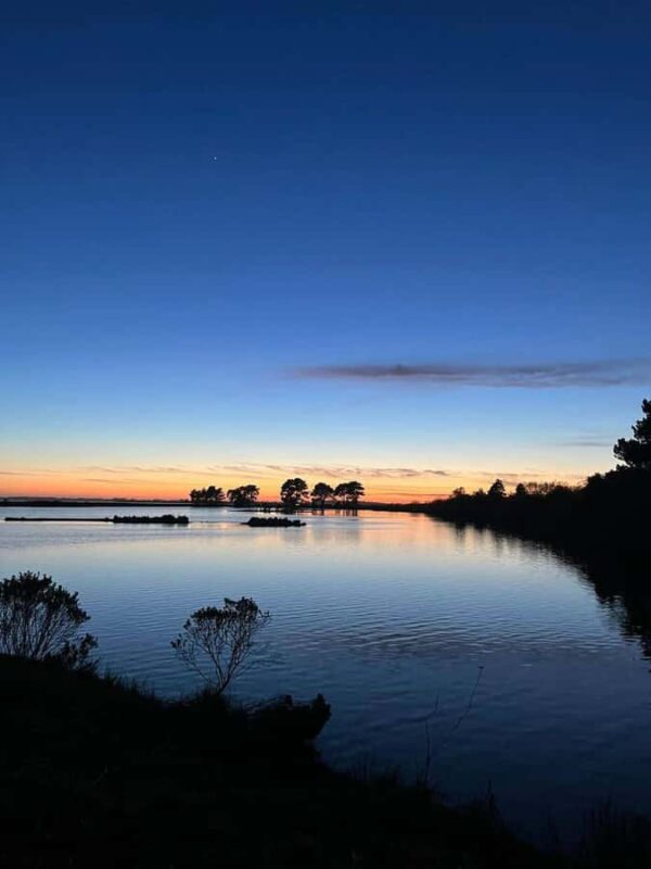 Arcata Wildlife Sanctuary: A Wildlife Walk Along Arcata Bay - The Guided Walk Through Arcata Bay’s Marshlands