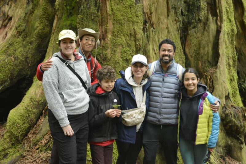 Arcata's Redwood Forest: Hike Through the Emerald Canopy - The Forest’s Proximity and Accessibility