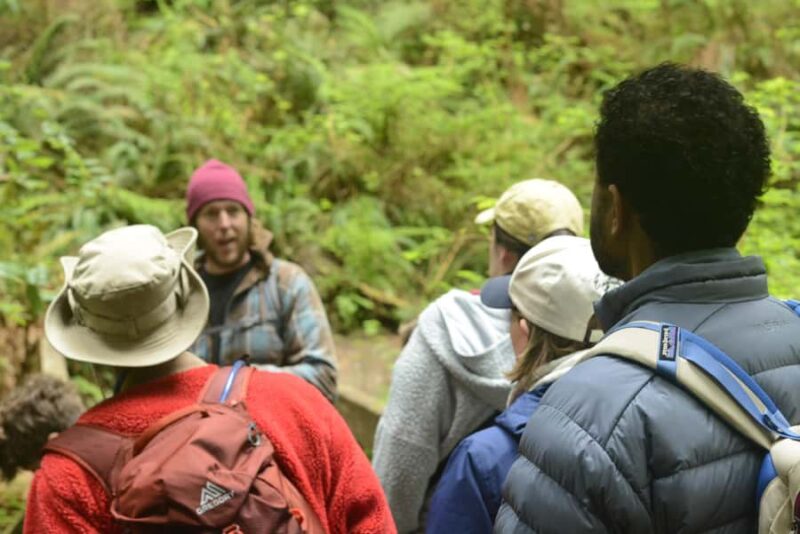Arcata's Redwood Forest: Hike Through the Emerald Canopy - Why This Tour Appeals to Nature Enthusiasts and Families