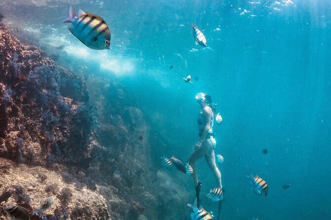 Arch Boat Tour and Snorkeling at Pelican Rock - Snorkeling at Pelican Rock: Gear and Experience