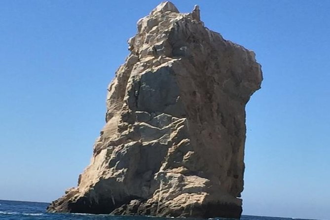 Arch Tour with Amazing Captain in Cabo San Lucas - Wildlife and Marine Viewing Opportunities