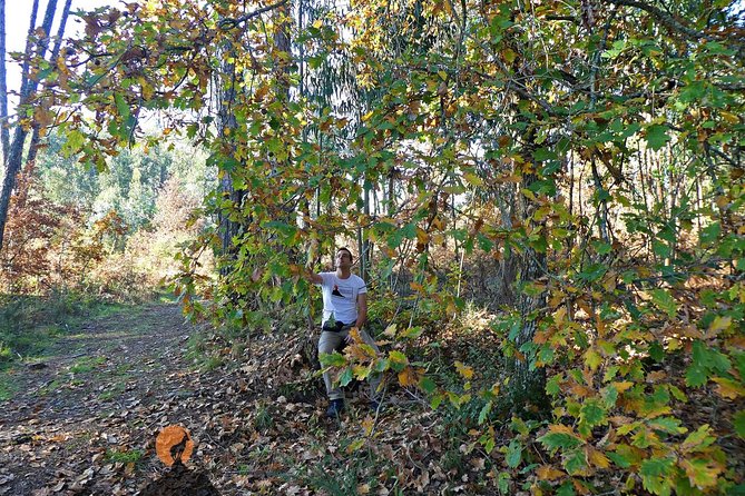 Archaeological Circuit of Fiais/Azenha and Cova da Moira - Visiting the Dólmen da Orca or Lapa da Orca | A National Monument