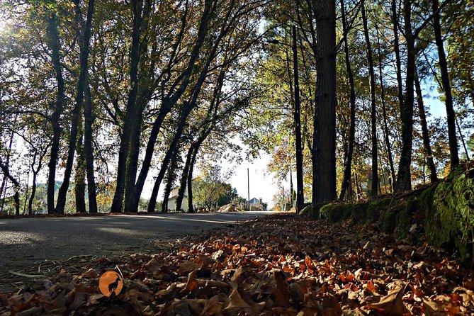 Archaeological Circuit of Fiais/Azenha and Cova da Moira - Scenic Landscapes and Natural Wonders