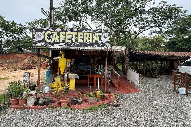 Archaeological Site Tour in Zihuatanejo - Key Points