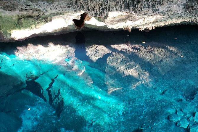 Archaeological Tour in Tulum and Coba with Kuxtal Cenote - A Stroll Through Playa del Carmen’s 5th Avenue